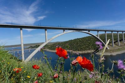 Licitados los trabajos de proteccin de flora y fauna en la lnea de alta velocidad de Extremadura 
